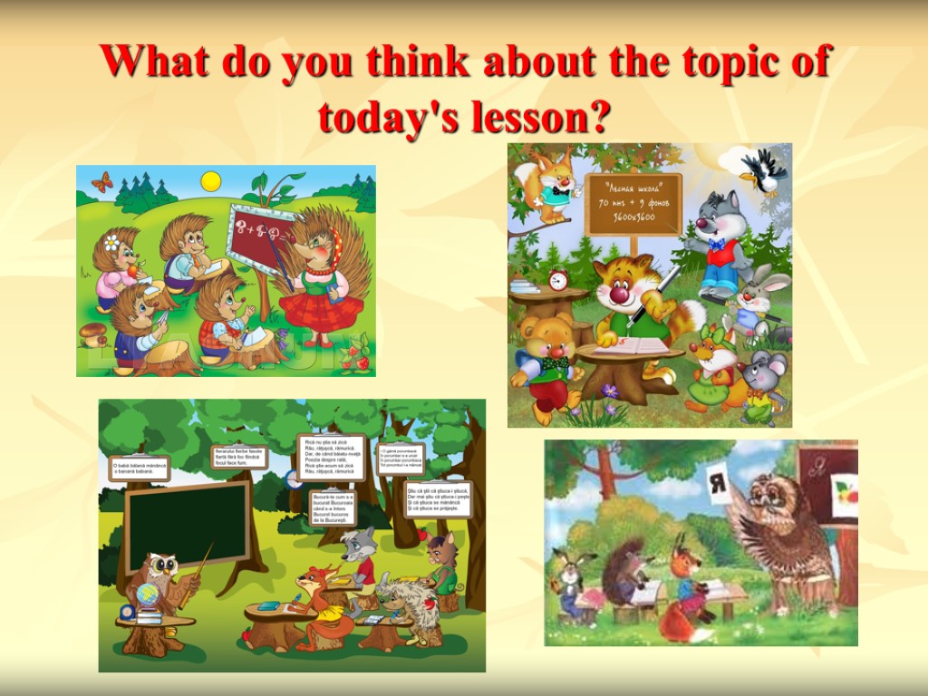 What do you think about the topic of today's lesson?